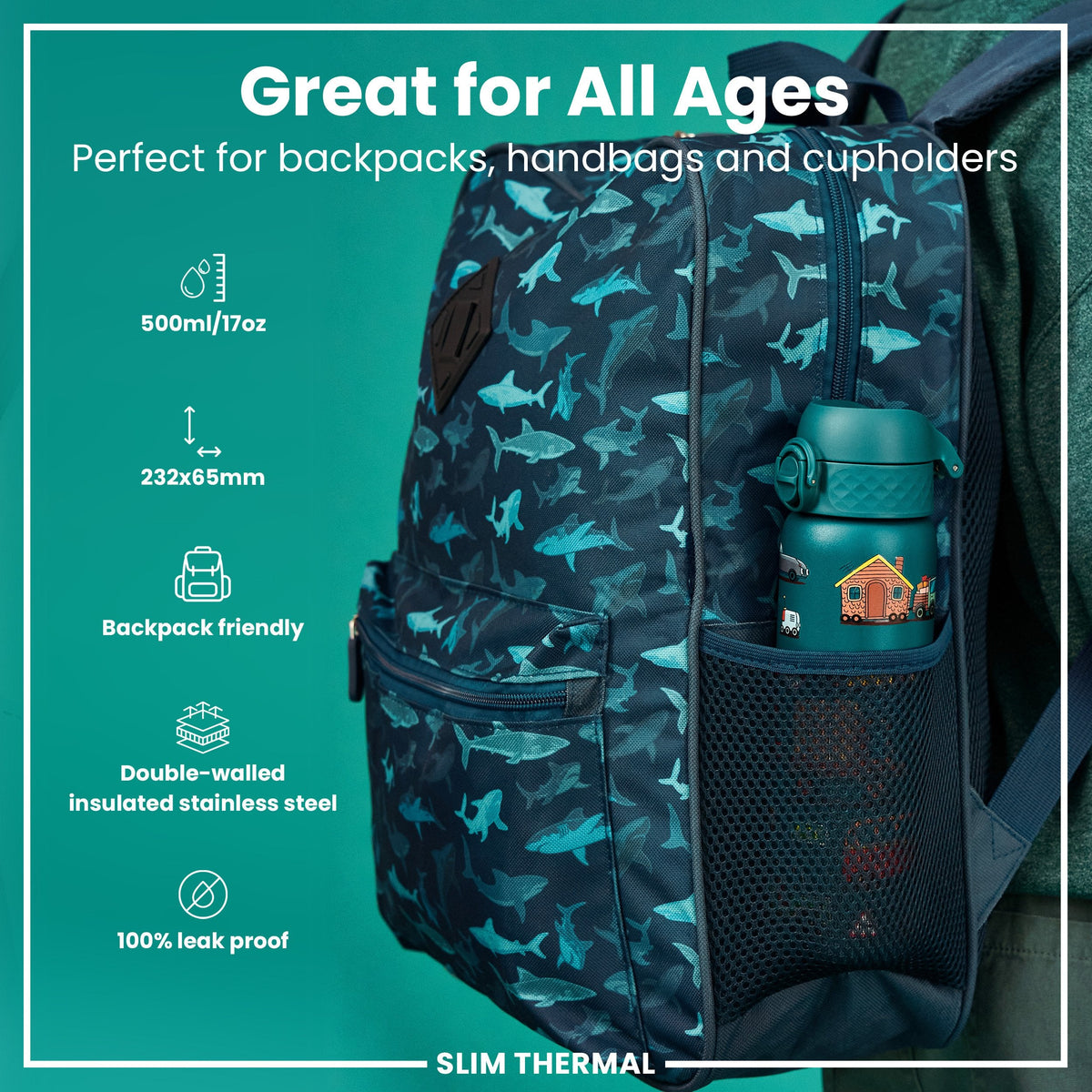 Leak Proof Slim Thermal Steel Water Bottle, Insulated, Automobiles, 500ml (17oz)